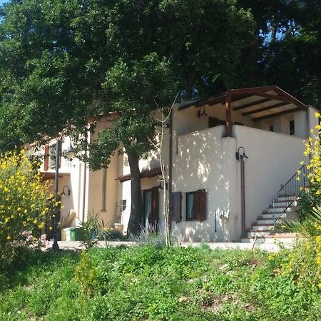 안코나 Le Querce B&B 외부 사진
