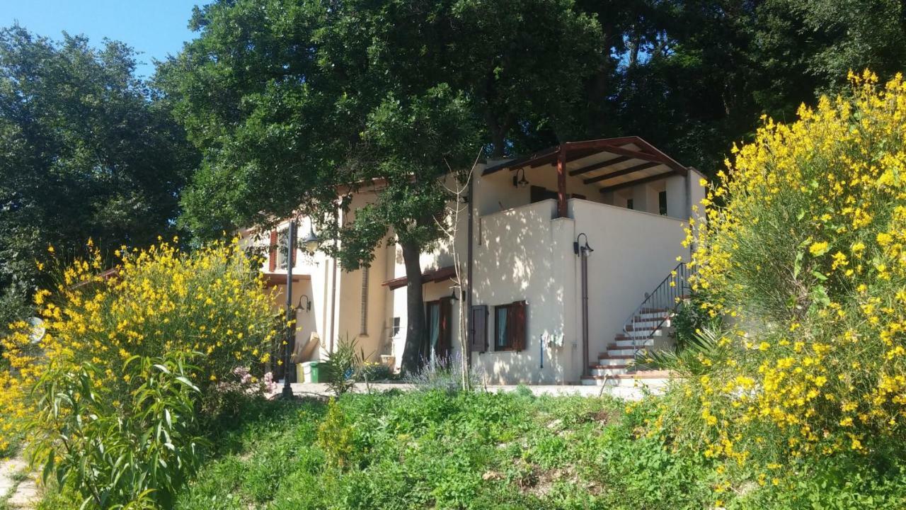 안코나 Le Querce B&B 외부 사진
